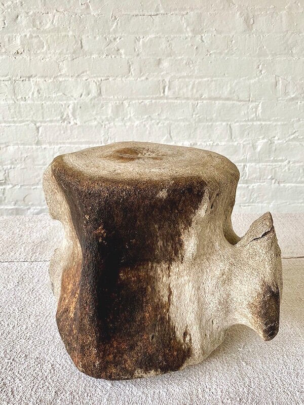 Whalebone