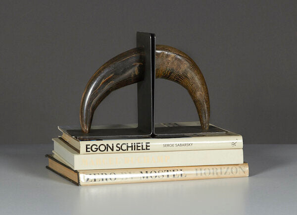 Aubock Horn Bookends